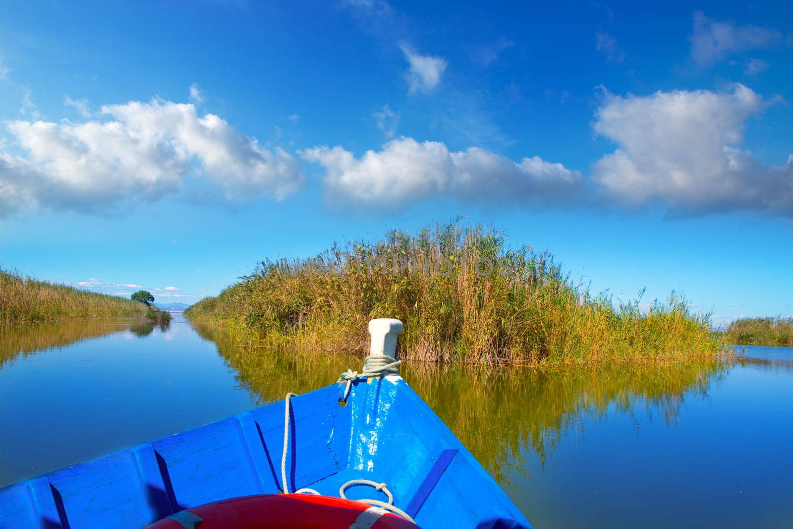 Blue boat sailing in Albufera lake of Valencia in a sunny blue sky day