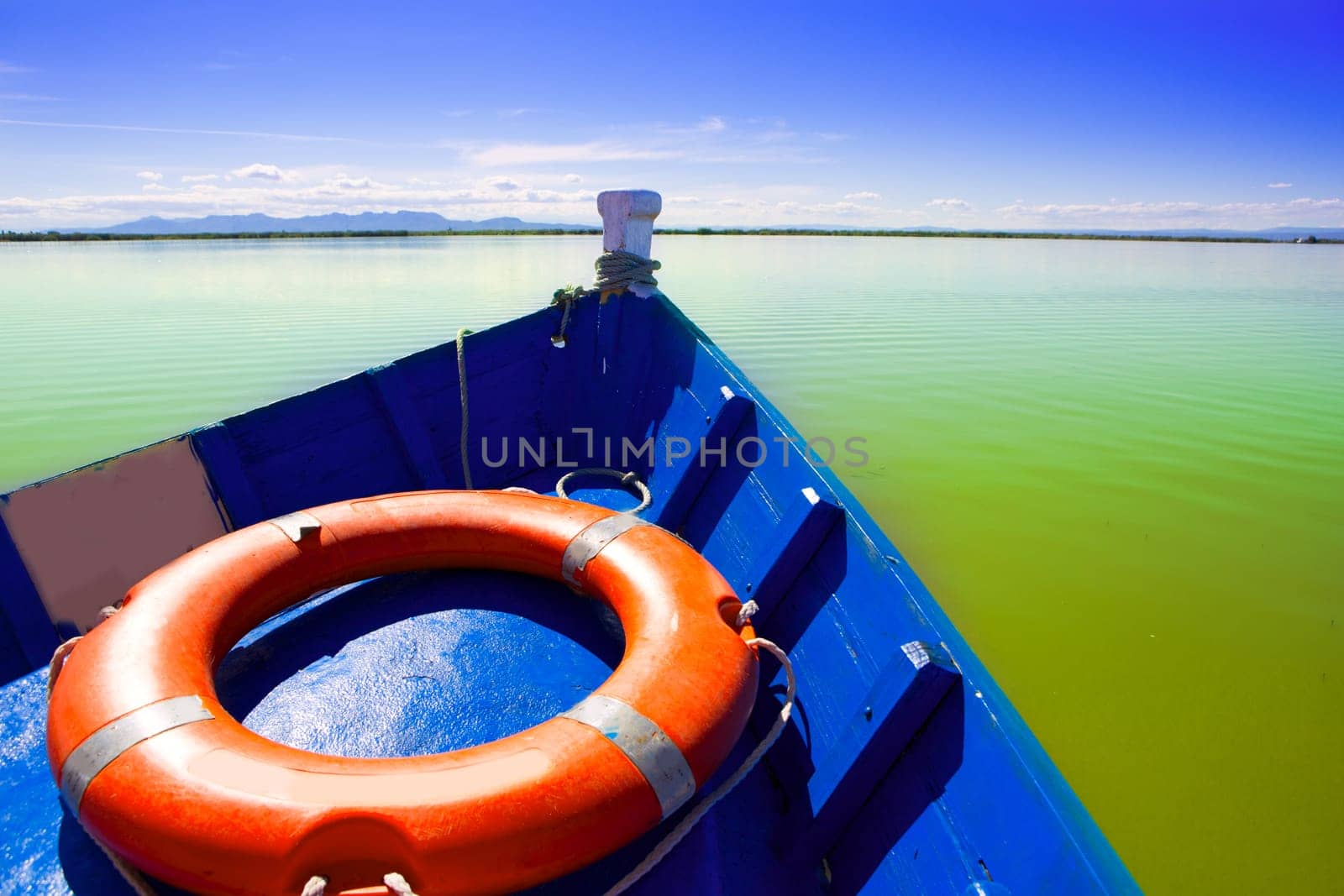 Blue boat sailing in Albufera lake of Valencia in a sunny blue sky day