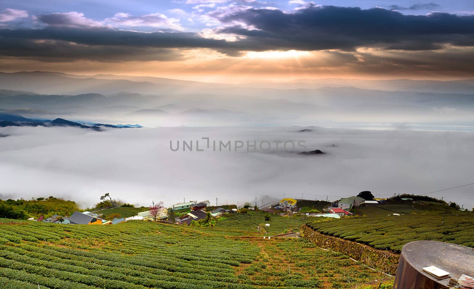 Alishan stone Zhuo Sunset, Taiwan. for adv or others purpose use