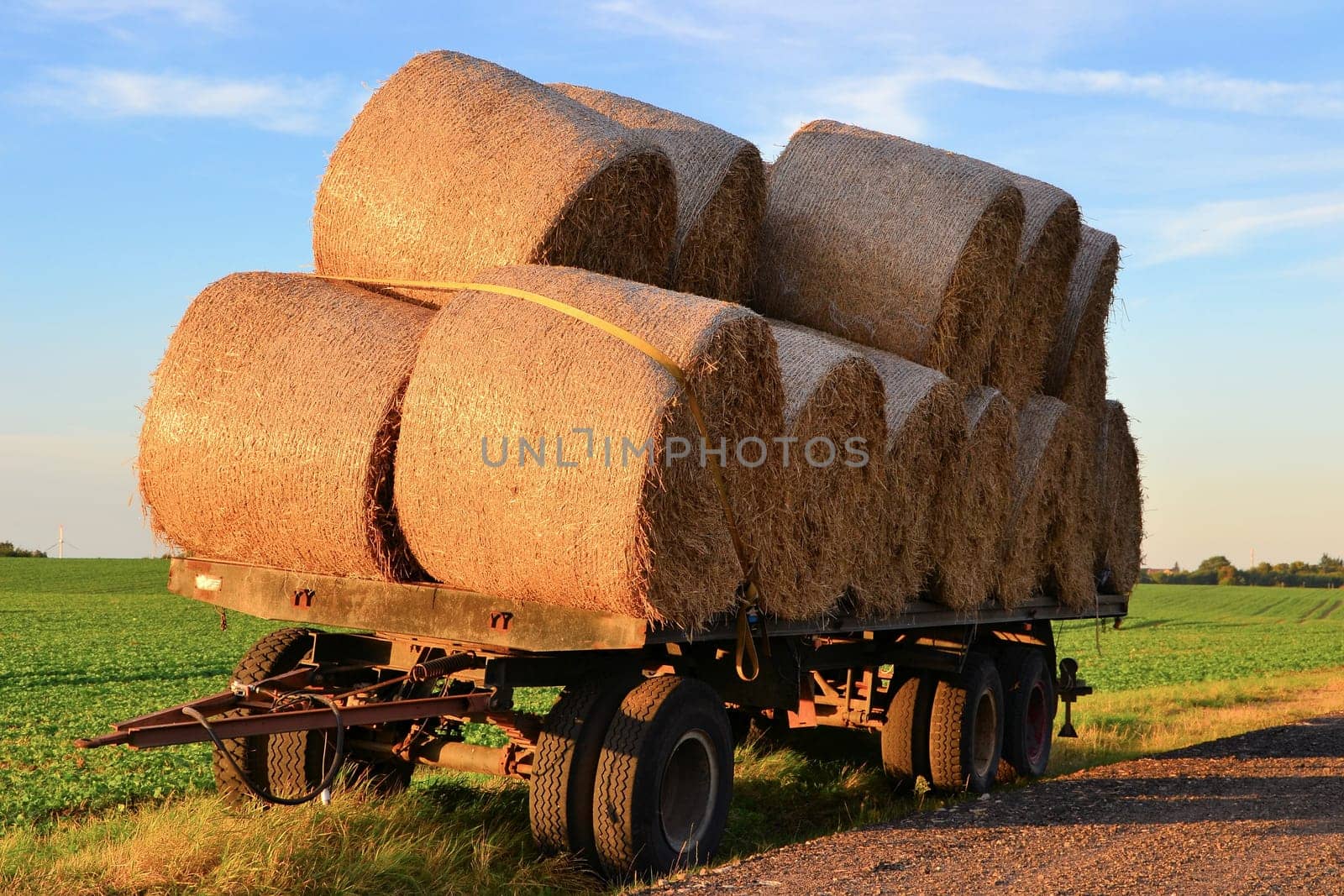 Straw