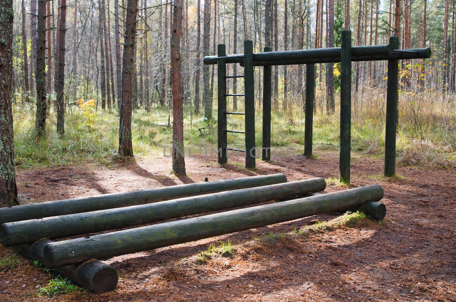 Exercise equipment  of logs  in a forest park