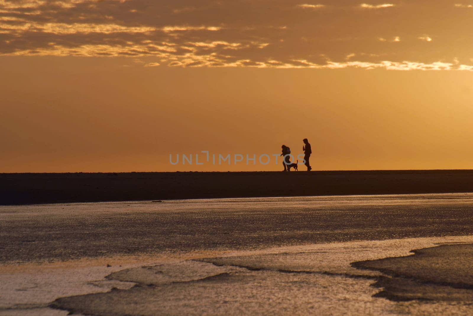 Human couple and dog walking. Beautiful seascape under golden sunrise. Montevideo, Uruguay.