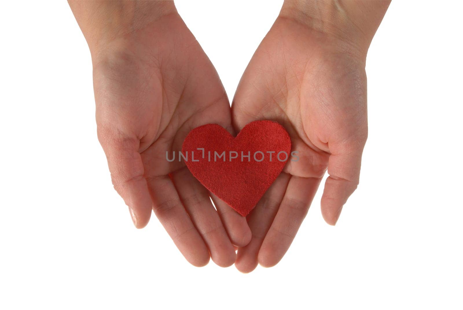 Two woman hands holding a fabric red heart isolated on white background.  Included clipping path, so you can easily cut it out and place over the top of a design.