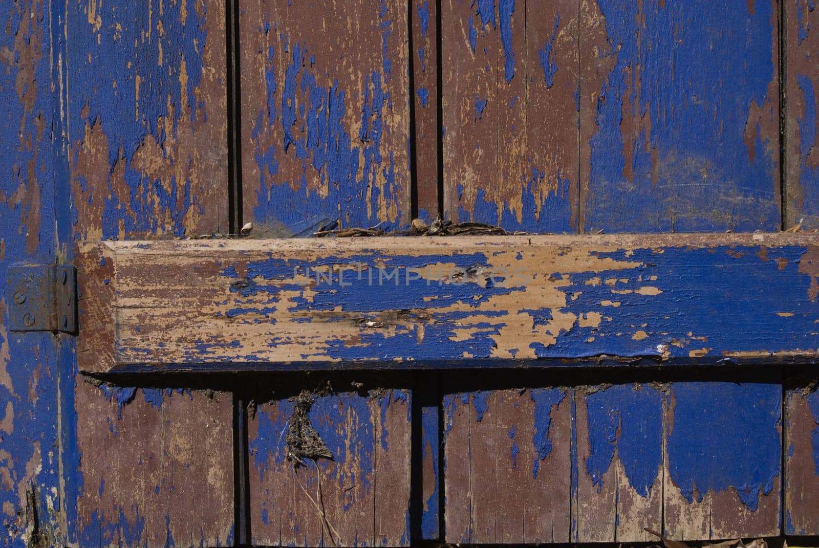 Vintage wooden door with the grunge violet paint. Useful as background for design works.