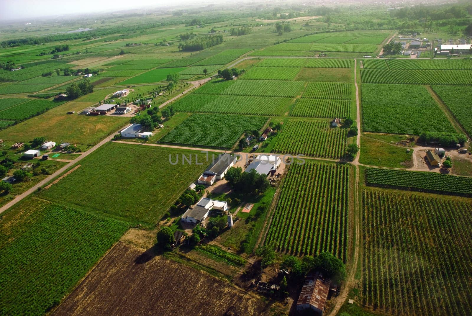 Aerial view of green country fields in Uruguay.