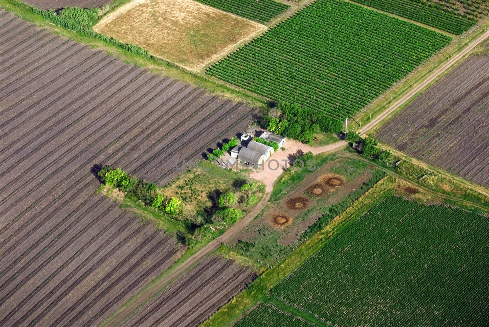 Aerial view of green countryhouse in Uruguay.