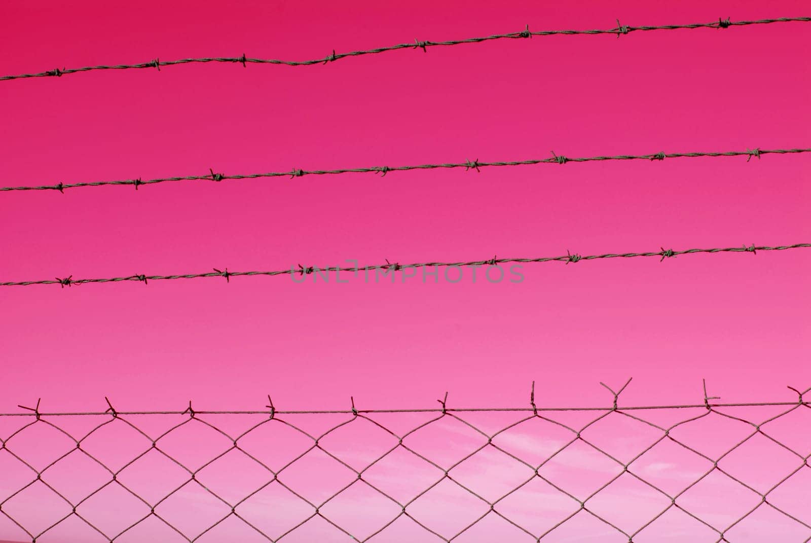 Cut wire fence with pink sky background.