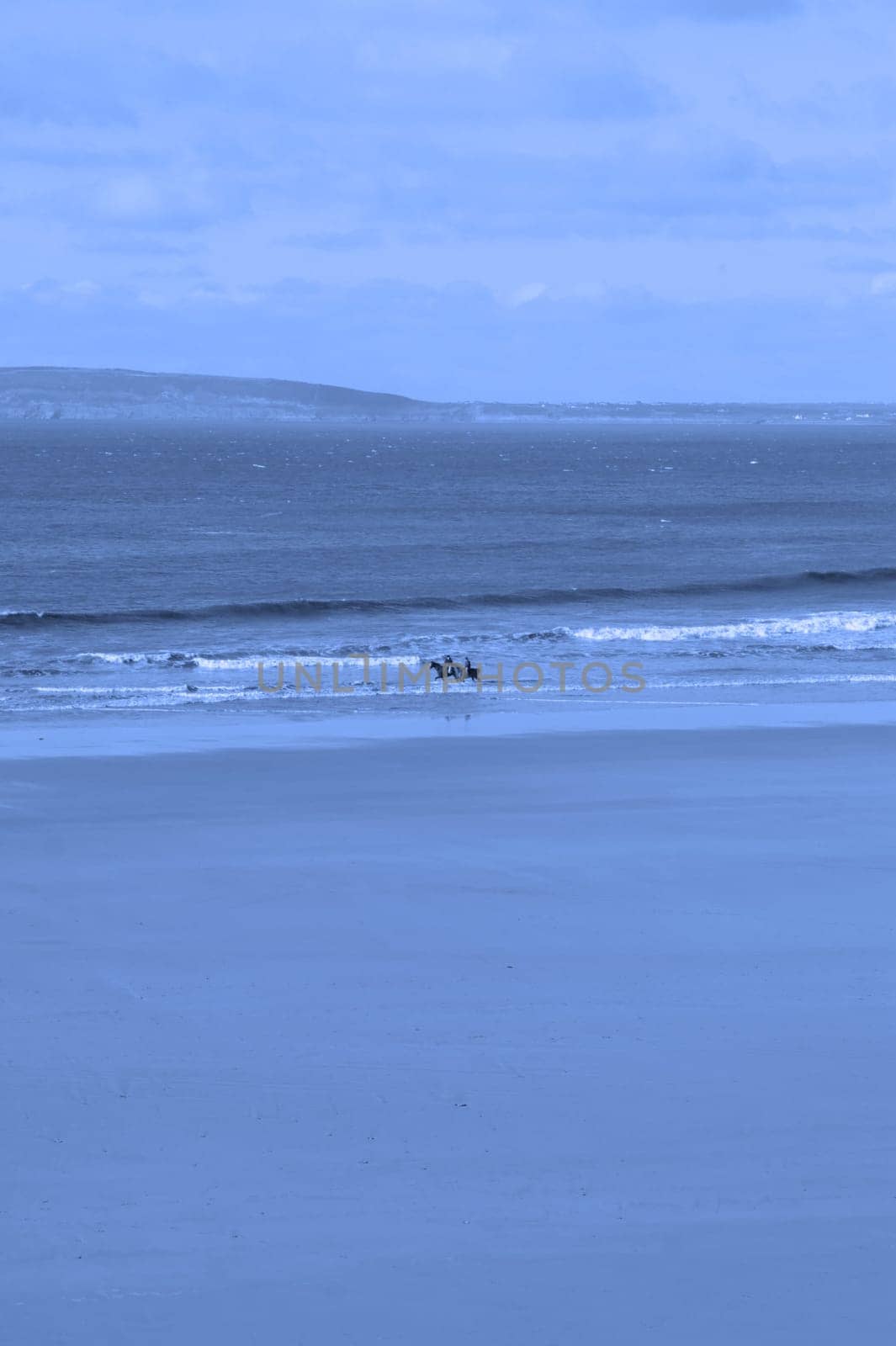 horses having a dip in the sea in ballybunion with view of beach