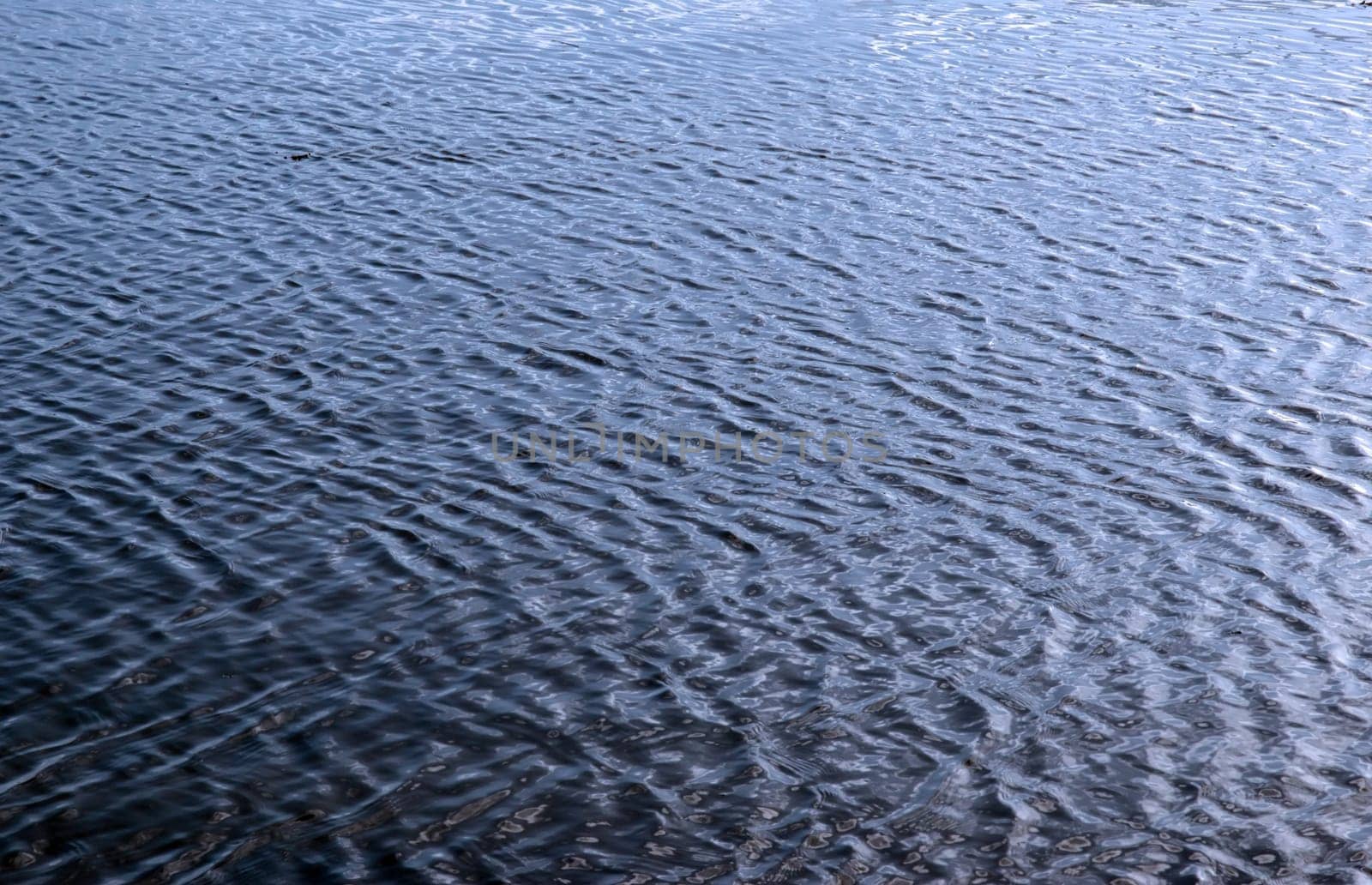 a rippled water surface with pattern and texture