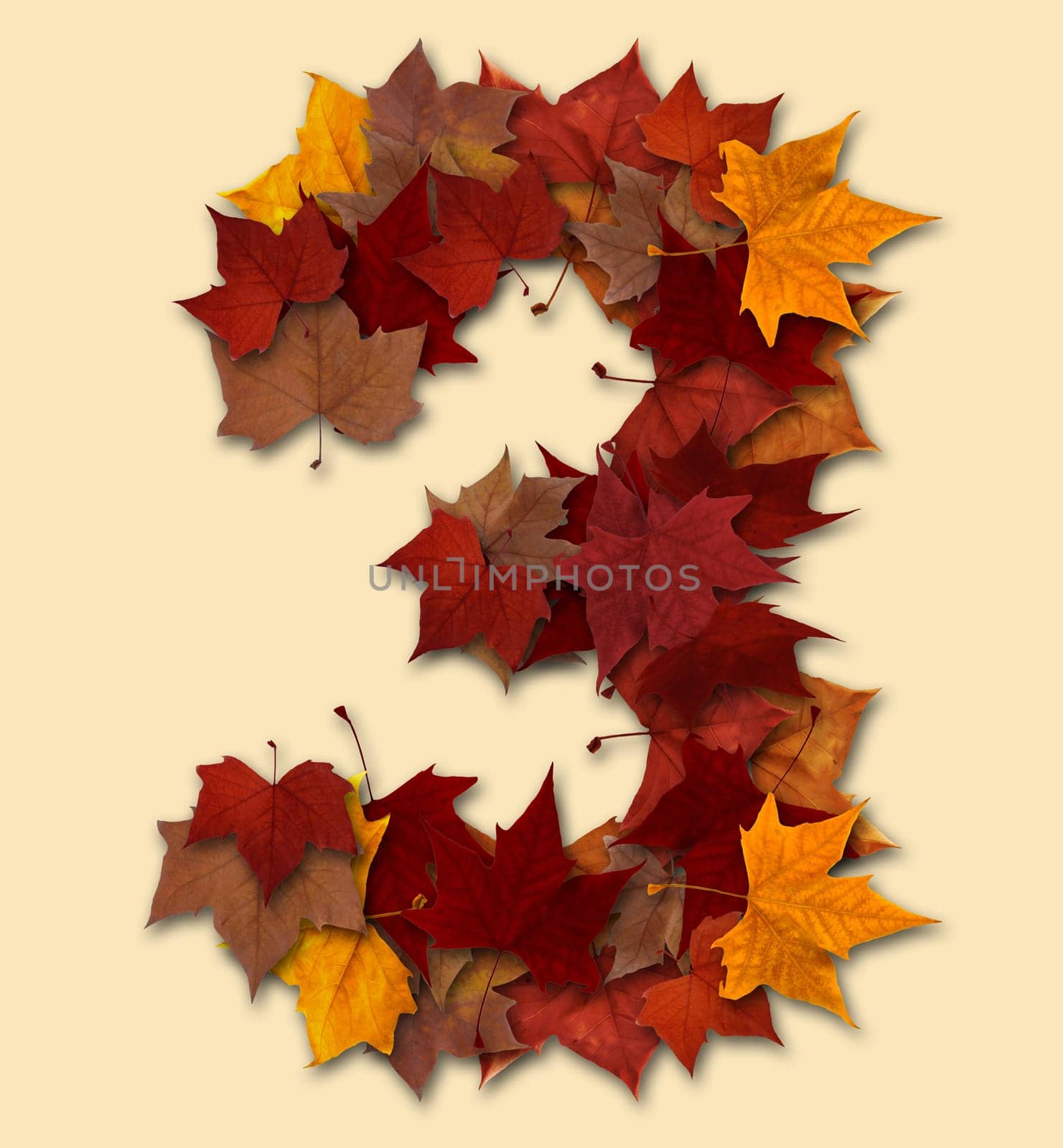 Number 3 drop shadow made with autumn leaves Isolated with clipping path, so you can easily cut it out and place over the top of a design. Find others types in our portfolio to compose your own words.