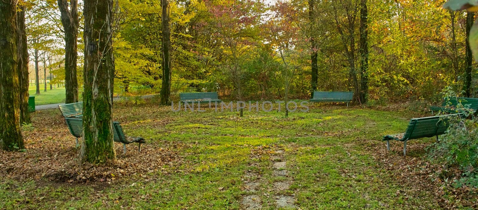 Picnic in the park, outing in the wood