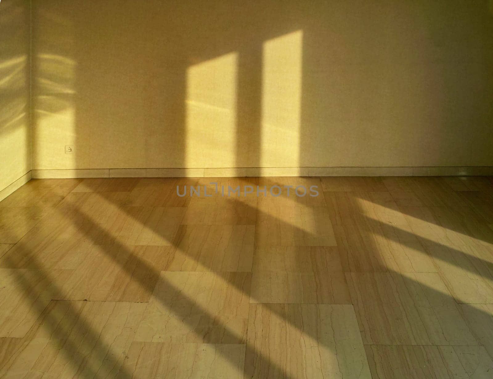 New empty apartment, interior, sun vacant room