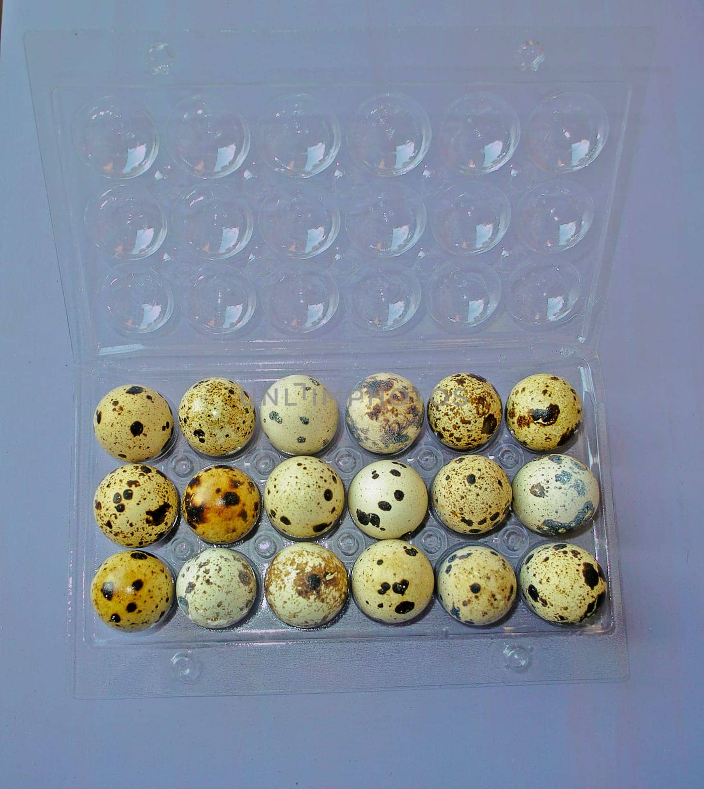 Quail eggs