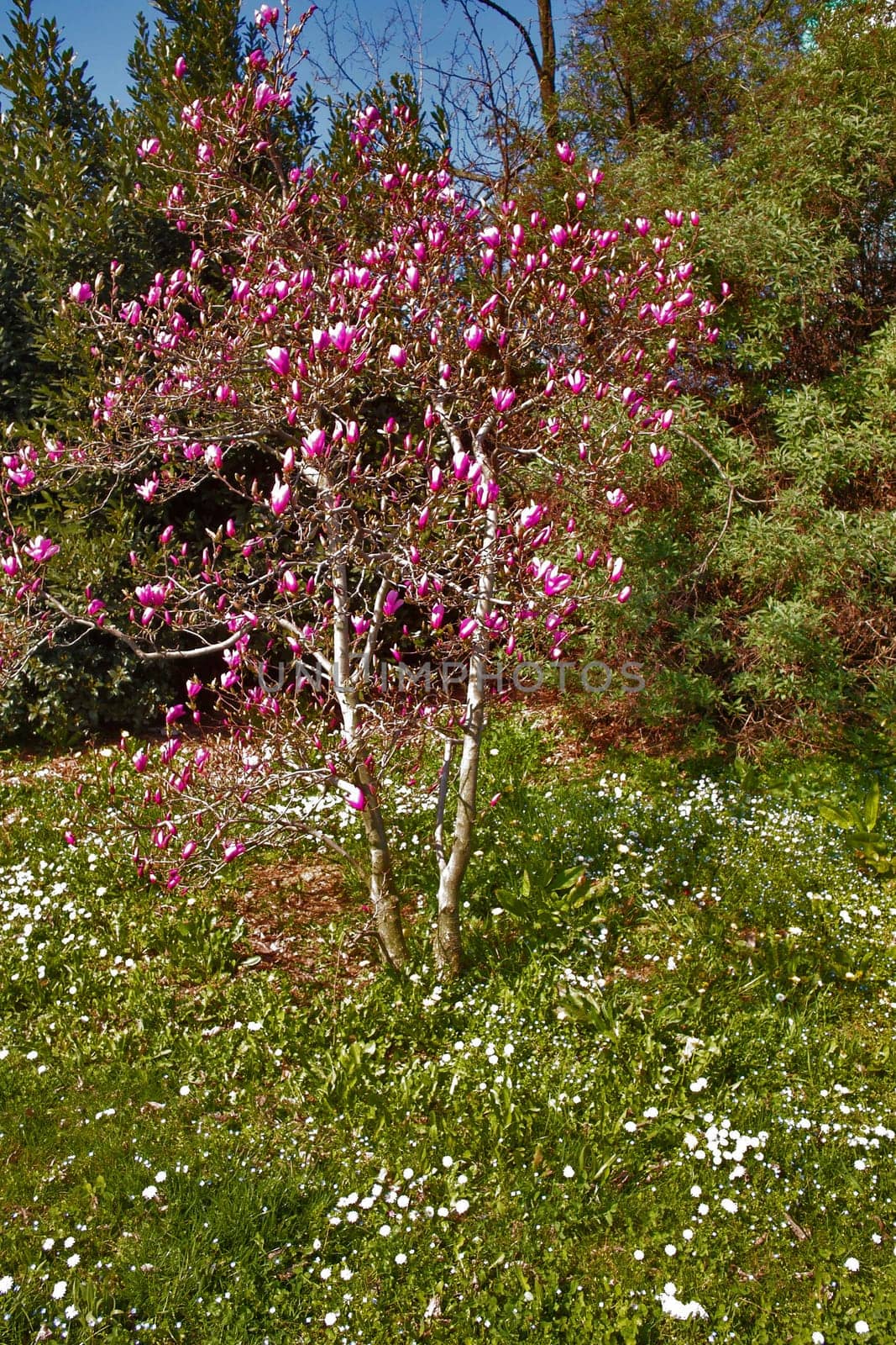 A beautiful spring day