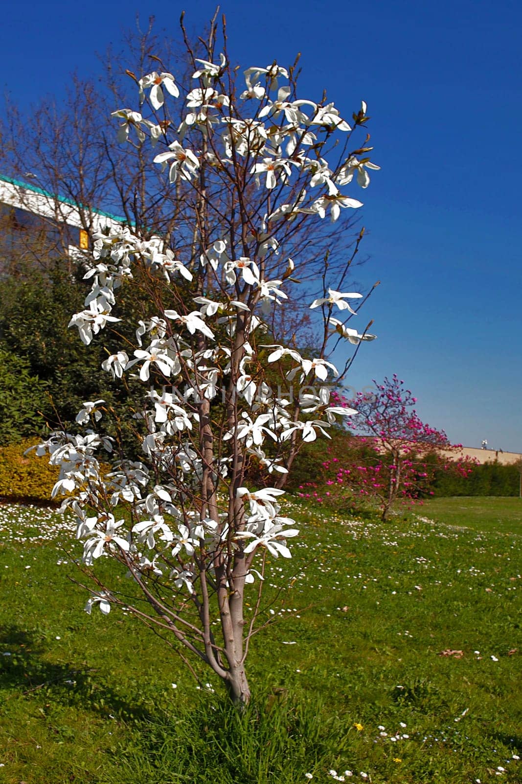 A beautiful spring day
