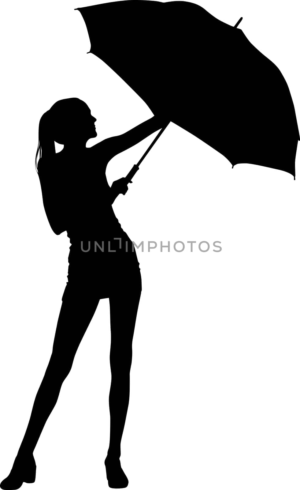 Fashion girl silhouette
