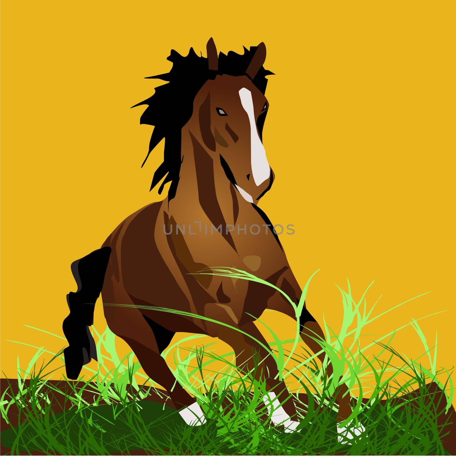 Horse in gallop