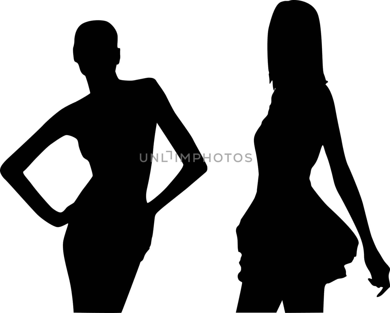 Silhouettes of fashion girls