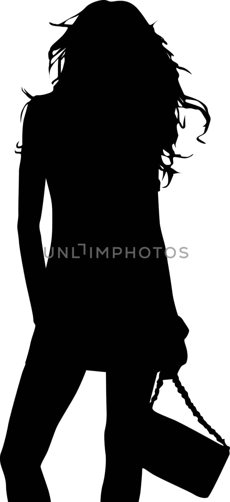 Silhouette of fashion girl