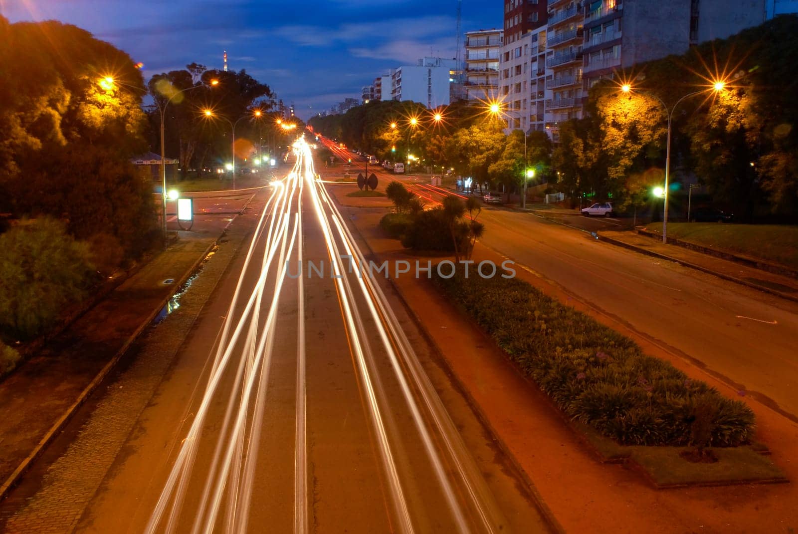 Traffic lines of lights at night.