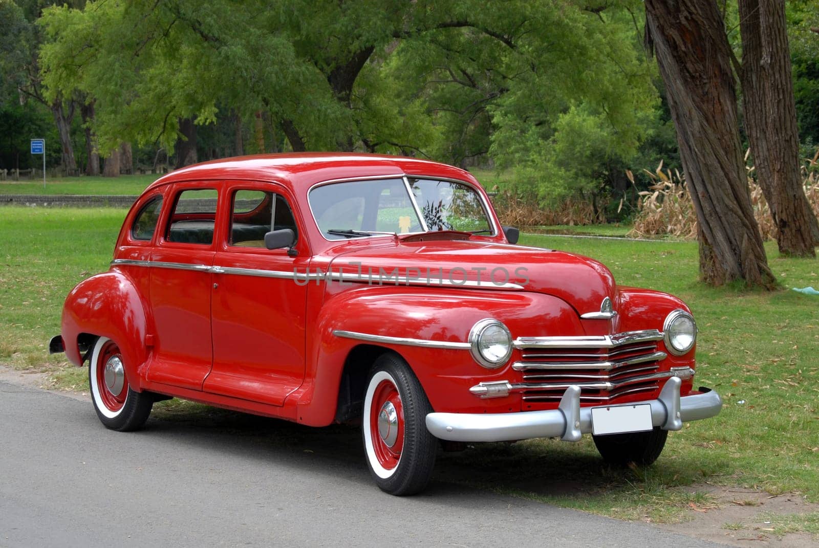 Antique red car on a background  of green trees