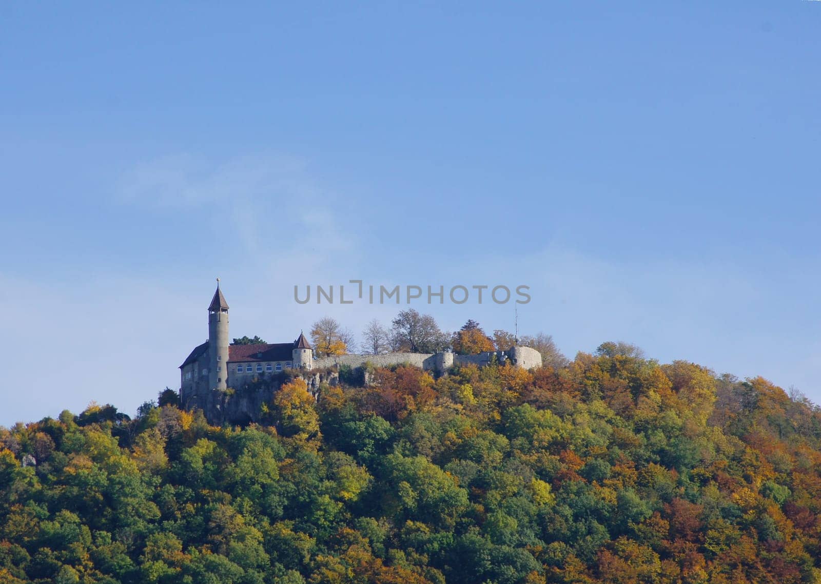 Teck Castle