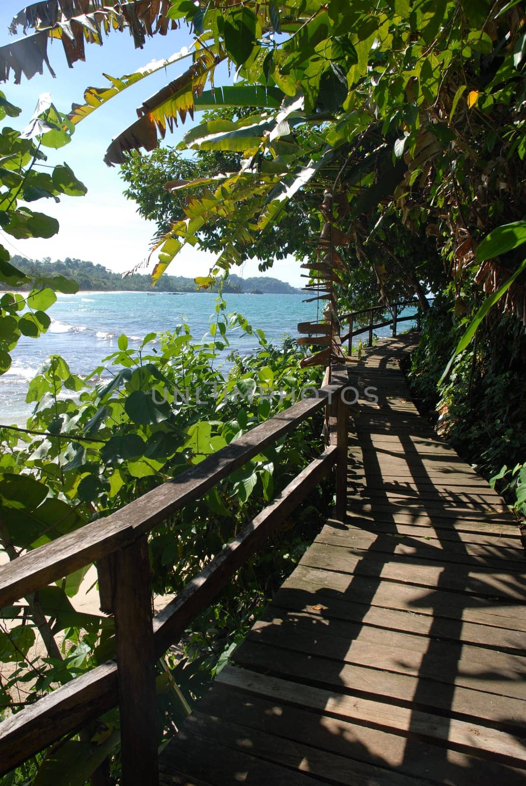 Wooden vegetation roofed walkway by the sea