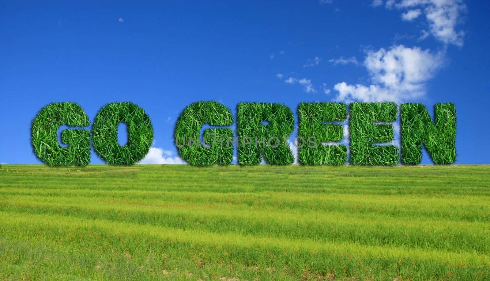 Textured go green sign over fresh grass and lue sky background.