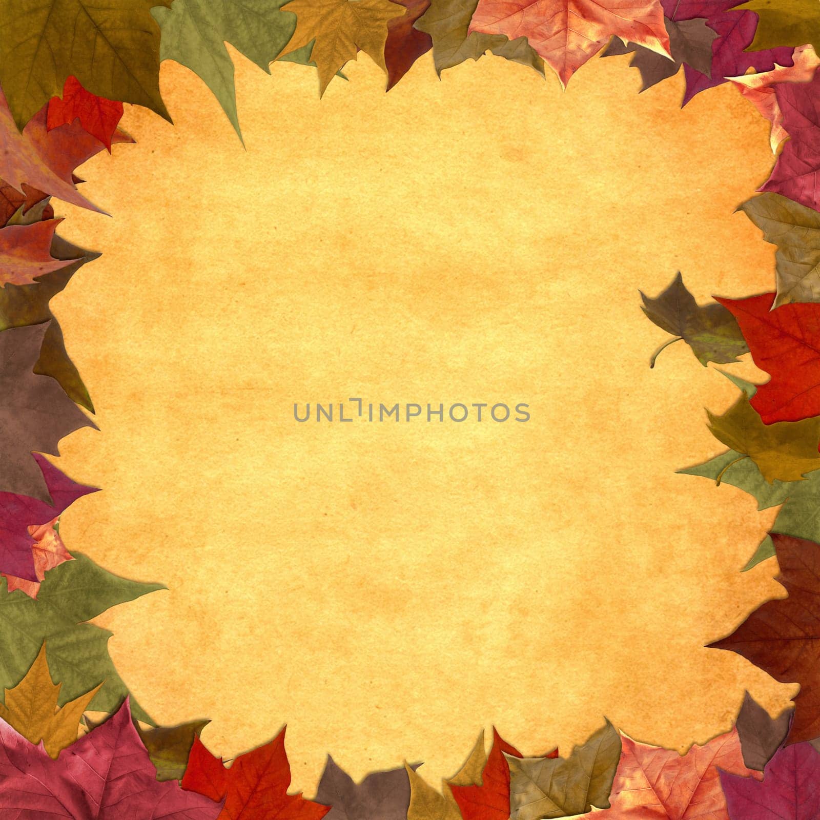 Autumn leaves decorative vintage frame background