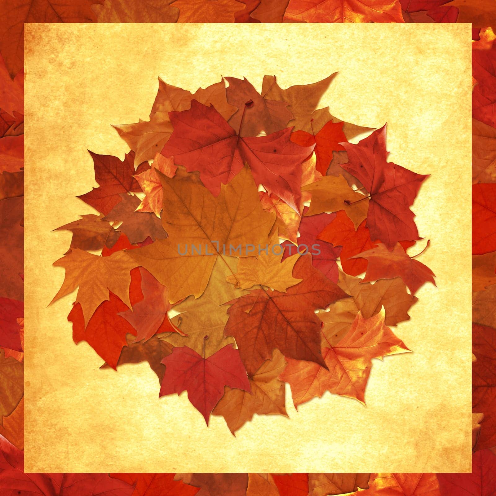 Autumn leaves circle vintage background