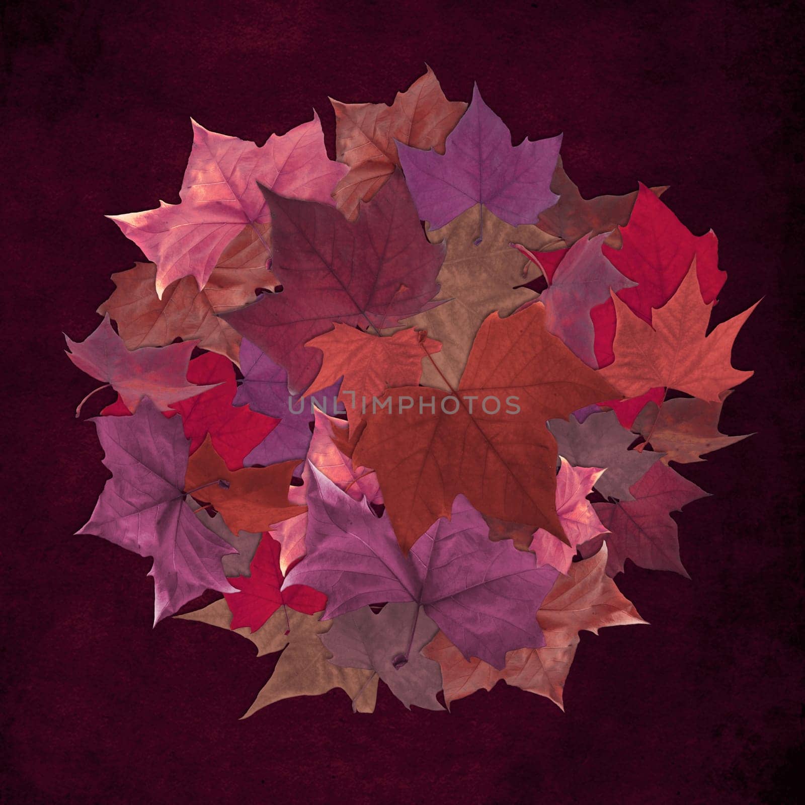 Autumn leaves circle over  grunge background