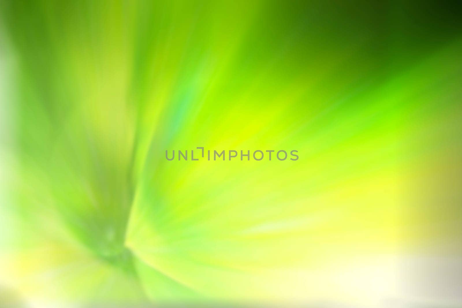 Abstract colorful background with flowers