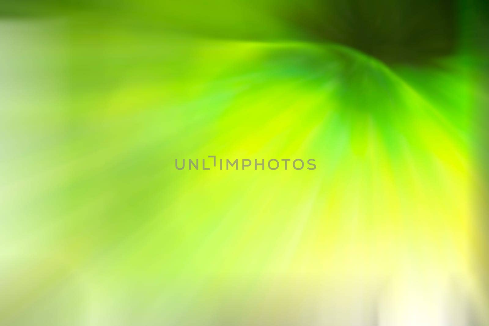 Abstract colorful background with flowers
