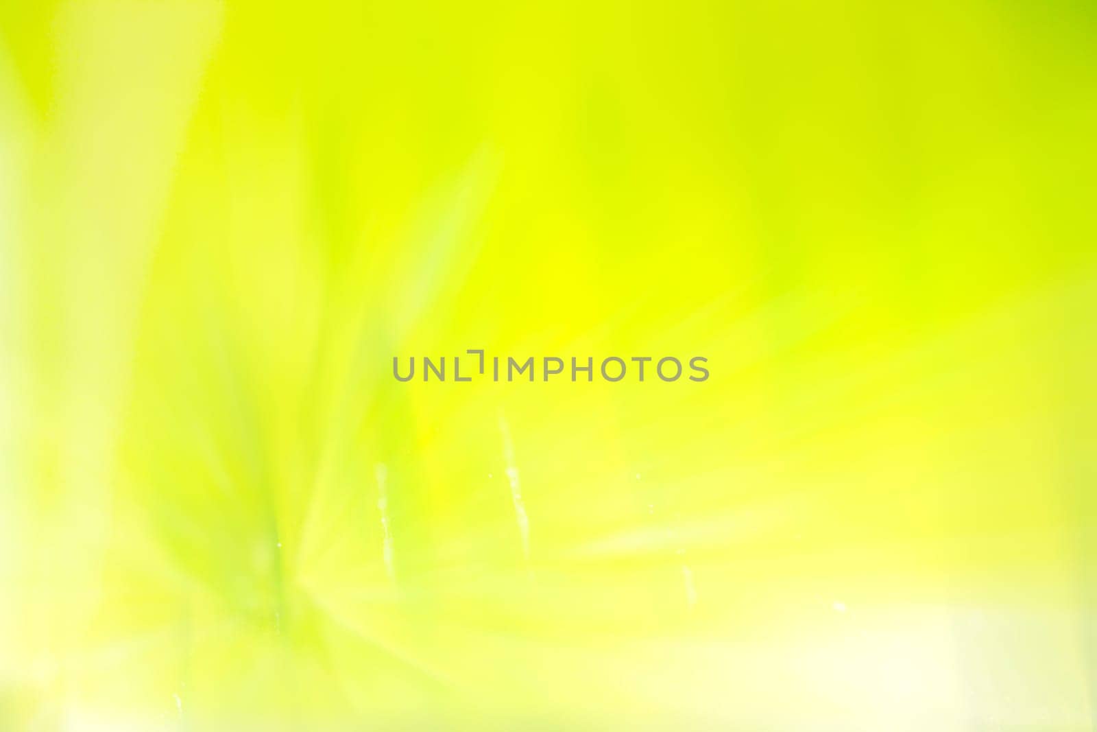 Abstract colorful background with flowers