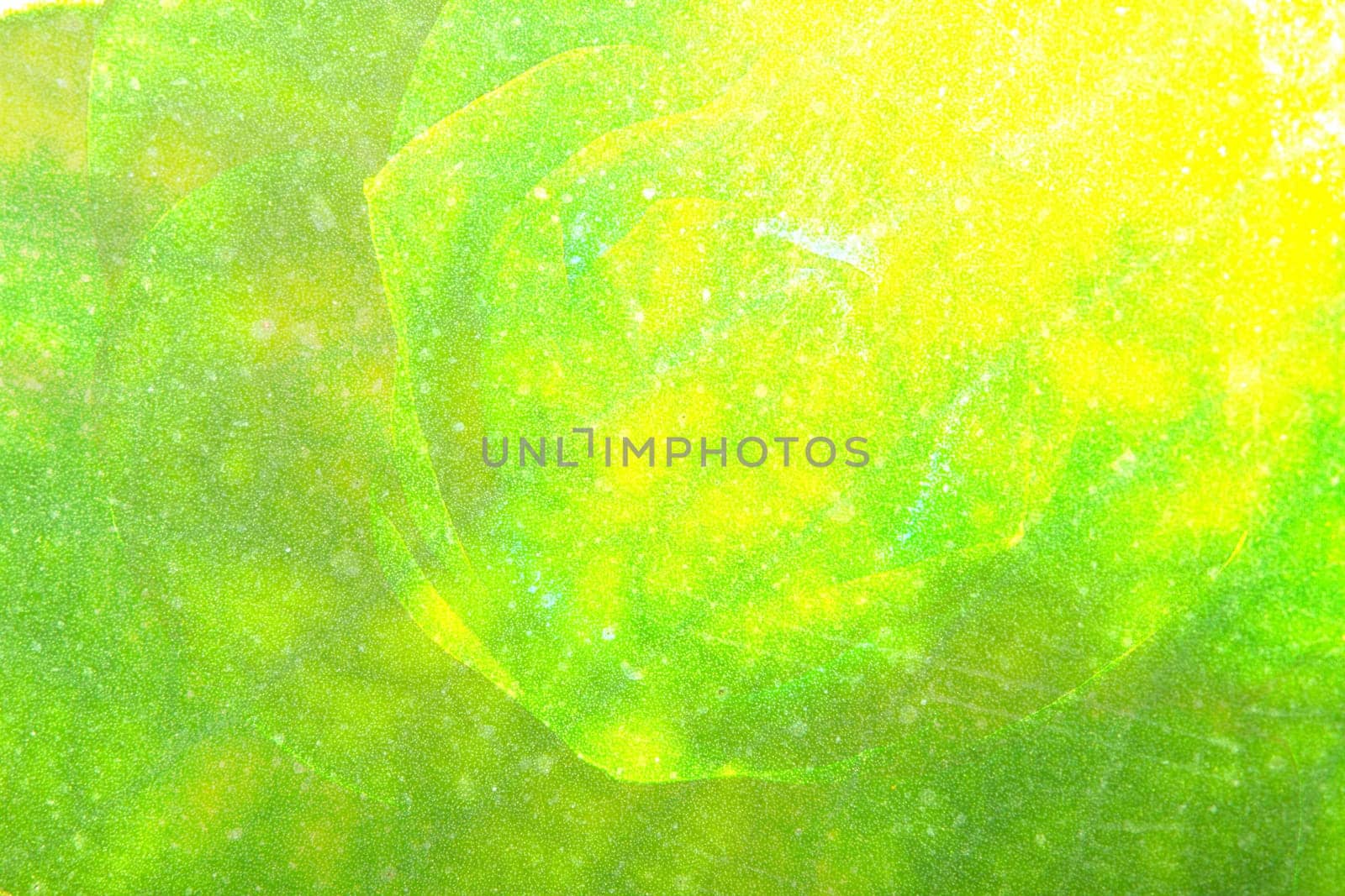 Abstract colorful background with flowers