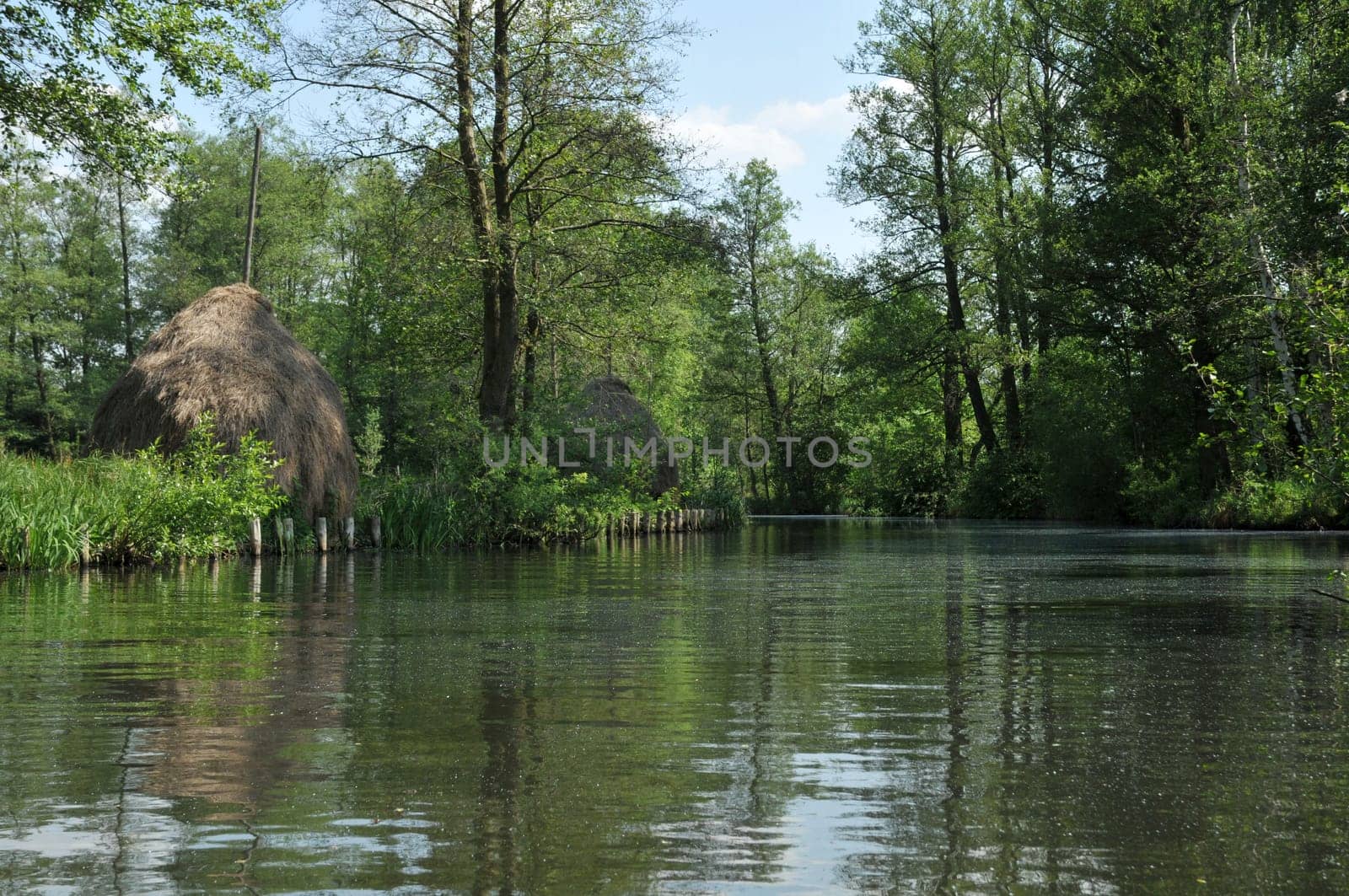 Spreewald Landscape