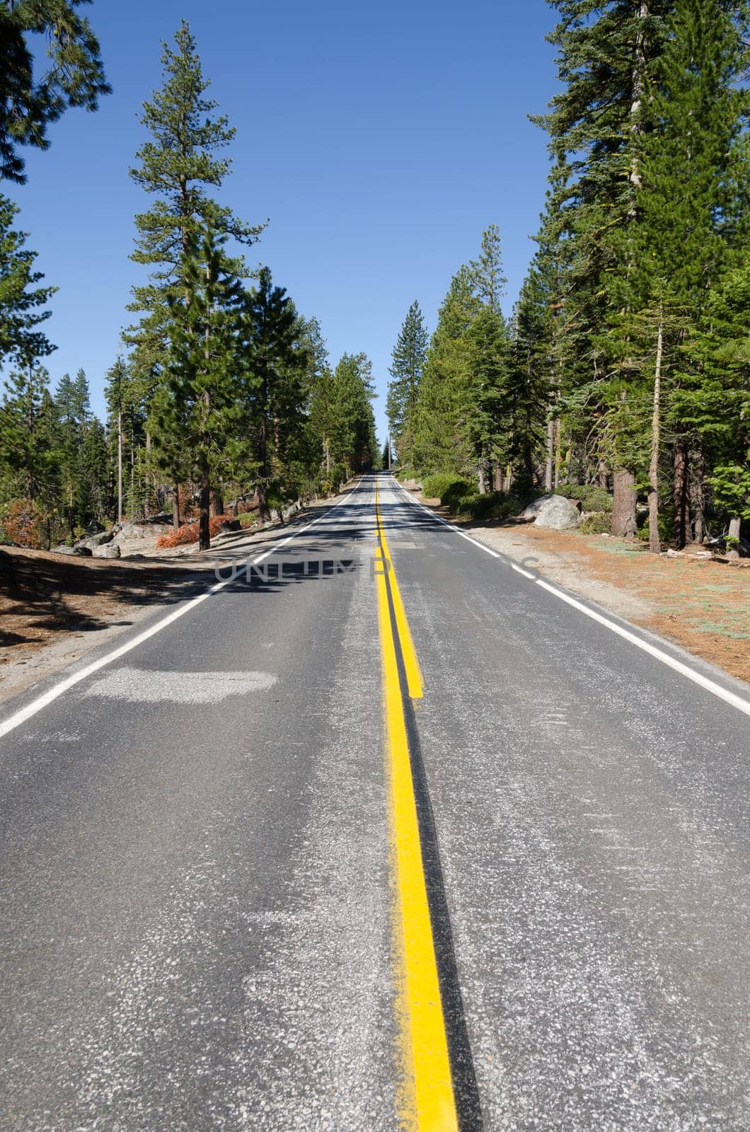 road in the mountains in Yosemite National Park in California in the United States of America
