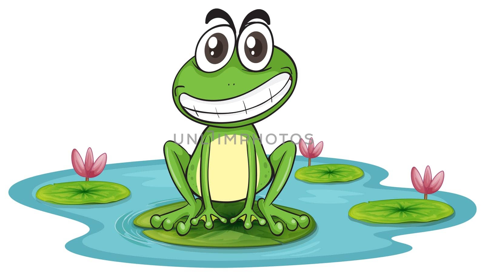 illustration of a frog and a water on a white background