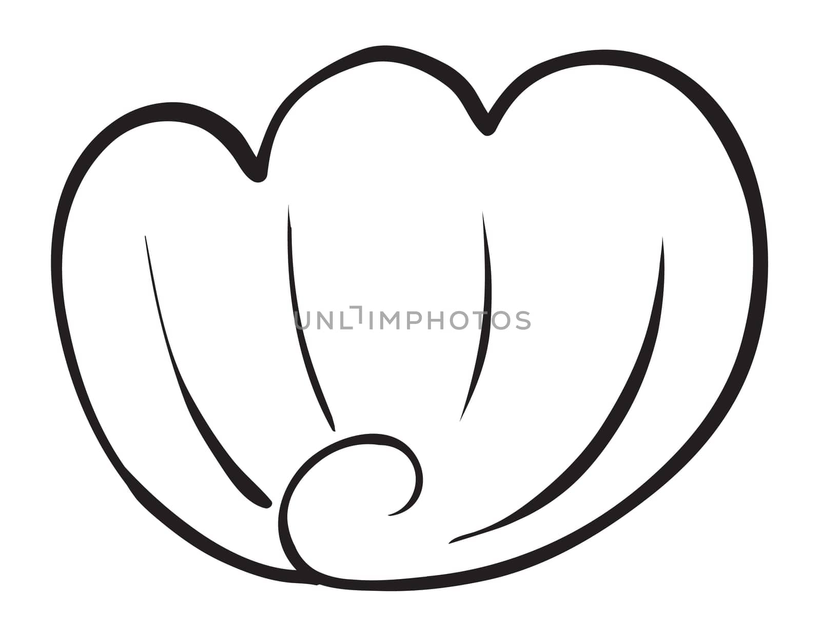 illustration of a cockleshell sketch on a white background