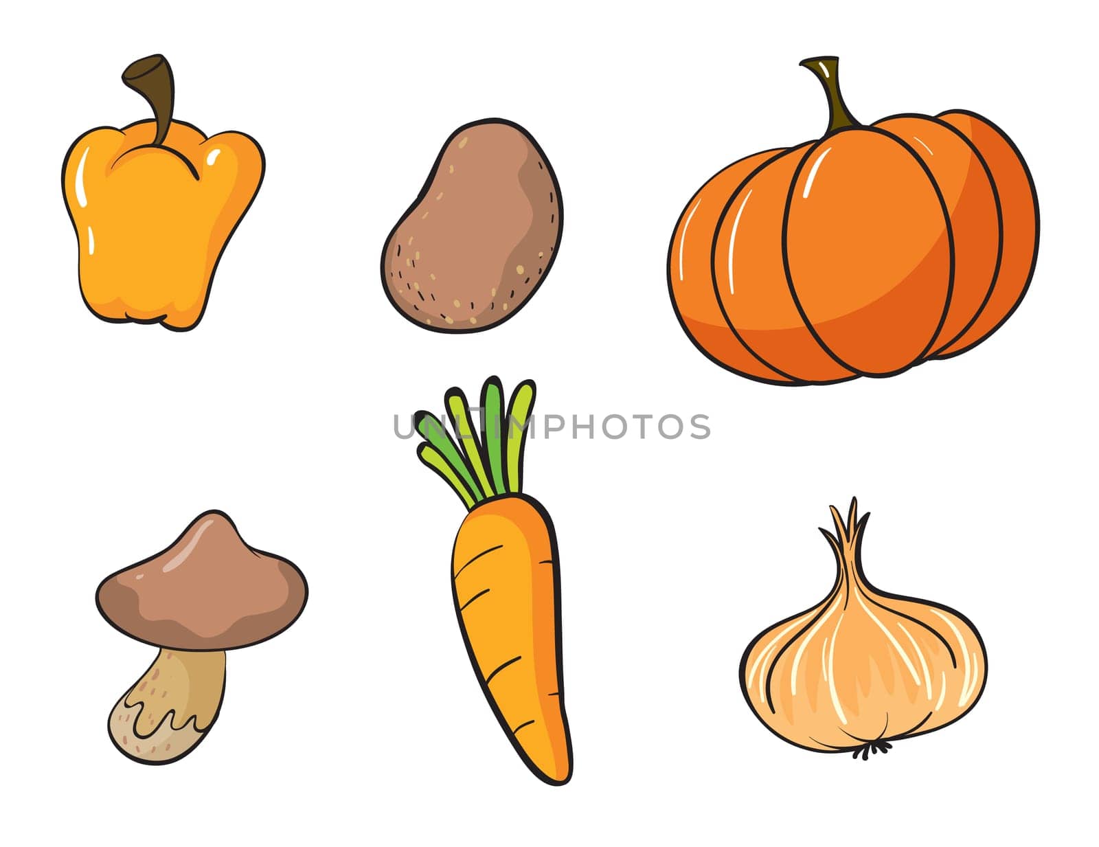 illustration of various vegetables on a white background