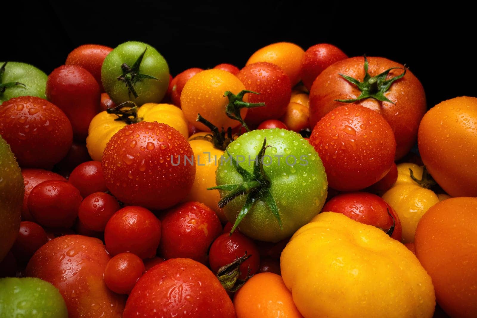 Extreme macro tomatoes variety background. Fresh food, ripe raw organic vegetable harvest. Farming, agriculture concept. Maturation process. High quality.
