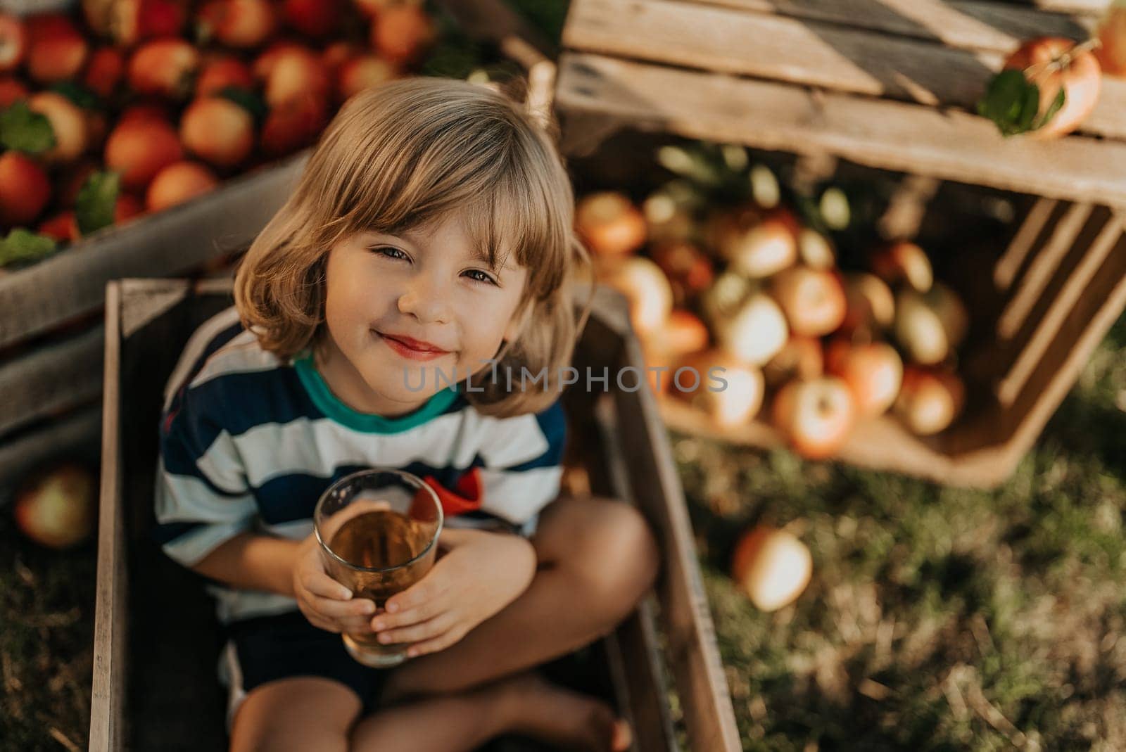 Cute little toddler boy drinking apple juice in wooden box in orchard. Son in home garden explores plants, nature in autumn countryside. Amazing scene. Family, love, harvest, childhood concept