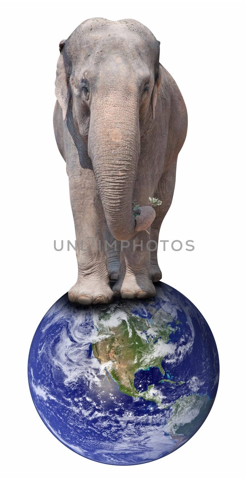 Elephant Standing on Earth Globe - Isolated on White. Elements of this image furnished by NASA. Terms of use: http://visibleearth.nasa.gov/useterms.php