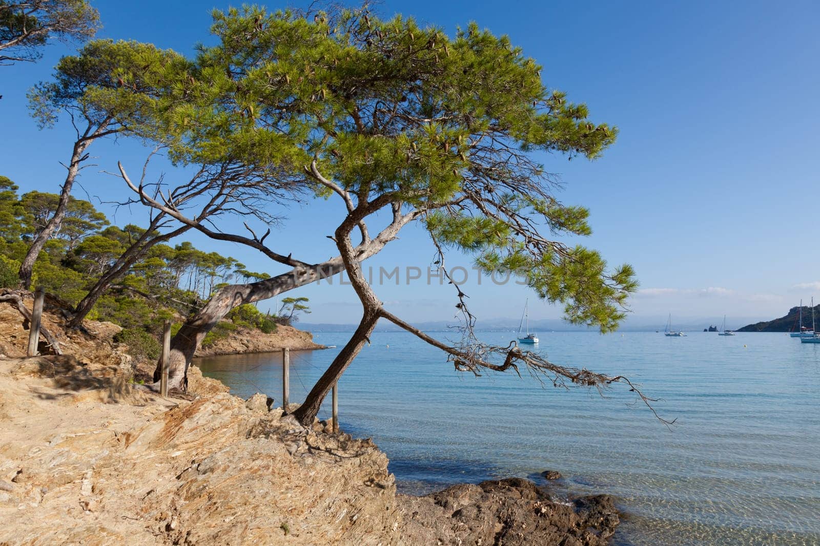 Porquerolles island  in south of France