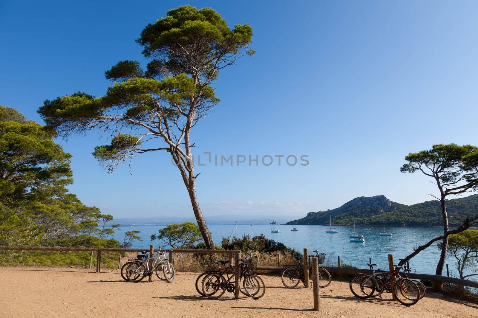 Porquerolles island  in south of France