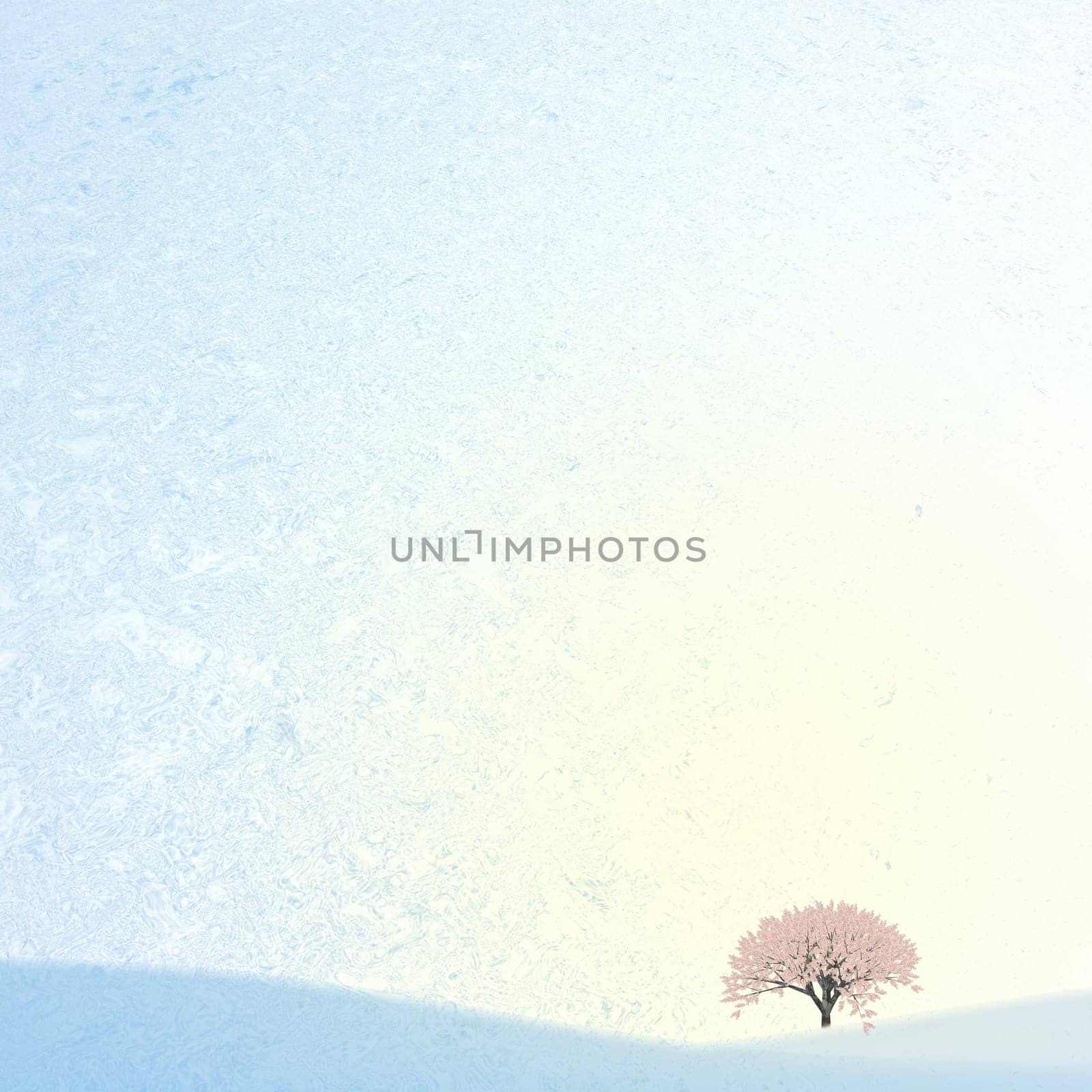 Ice background with sakura for adv or others purpose use