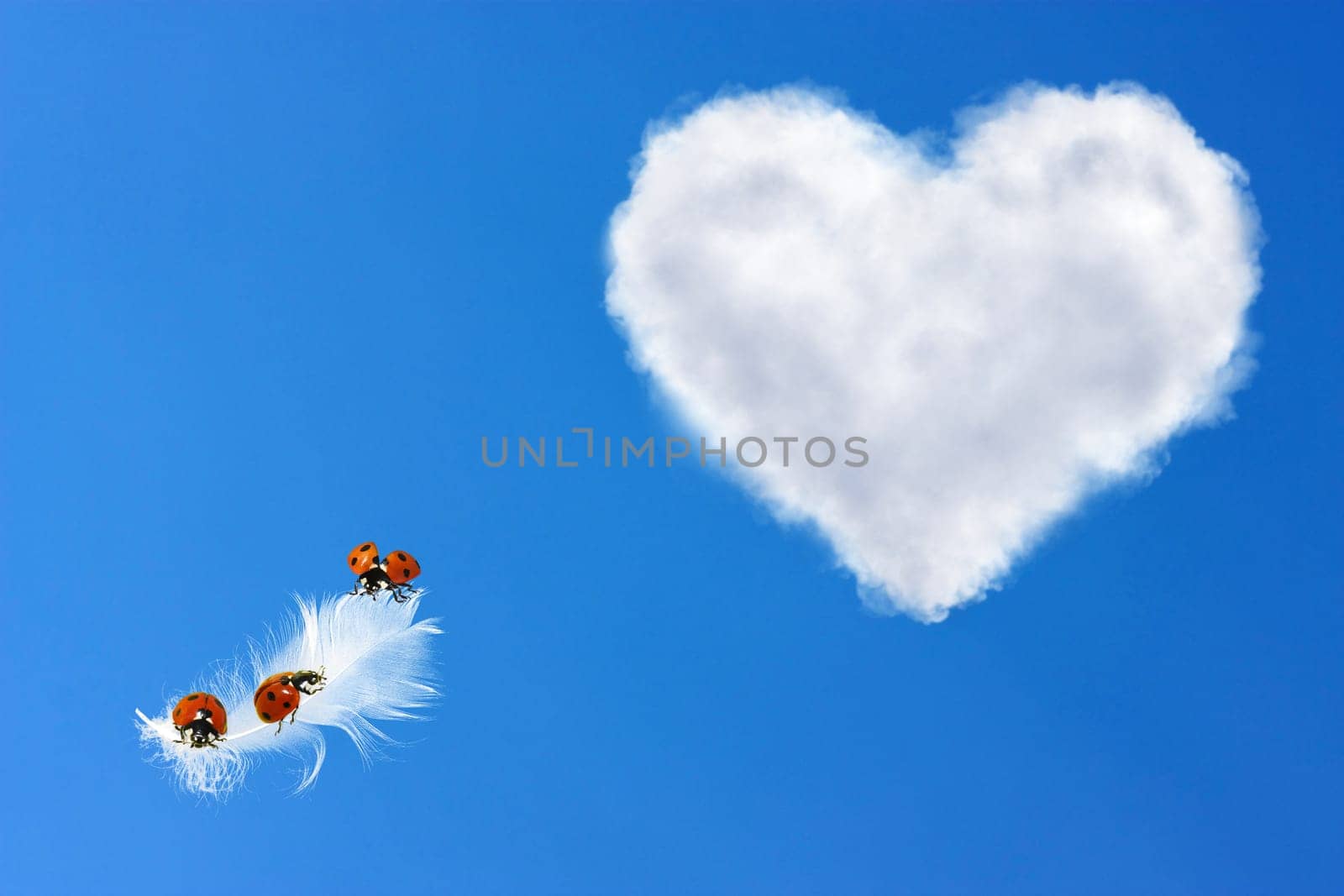 Liebesflug_01