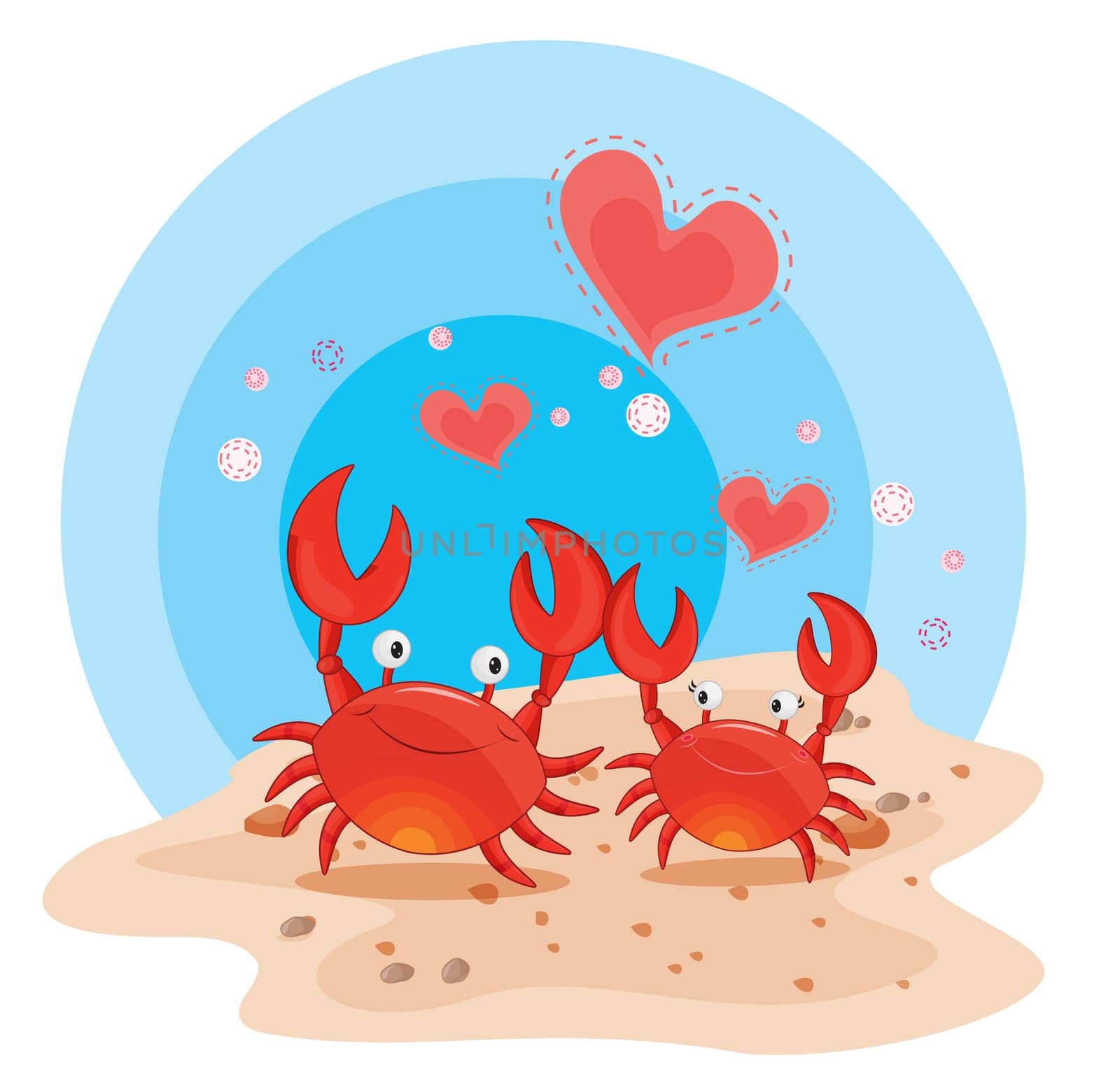 illustration of a crab on a white background