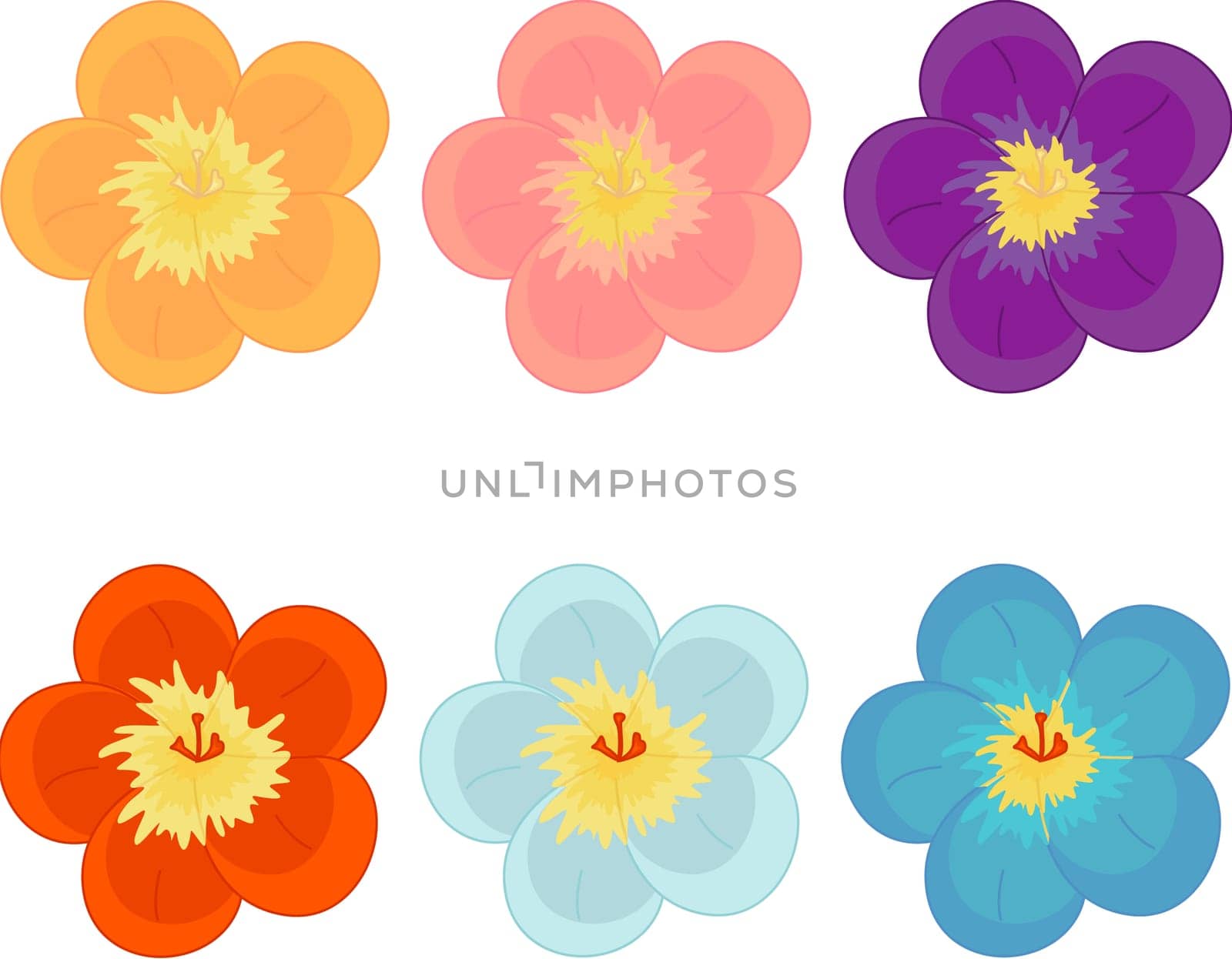 Illustration of flowers in different colours