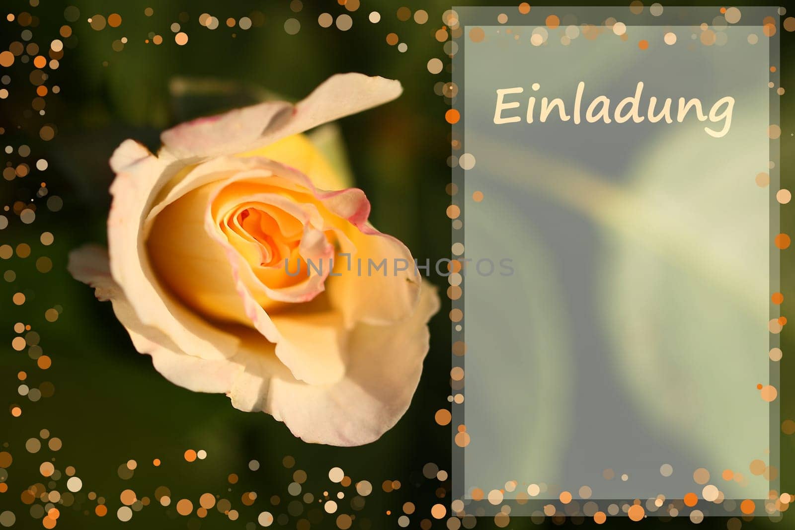Invitation